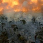 Philipp Christopher Instagram - #Repost @jackharries ・・・ The lungs of the planet are on fire right now!! 🔥 🚨 The Amazon rainforest has been burning for weeks but has received almost no news coverage. When Notre-Dame burnt, billionaires and politicians emptied their pockets but when the most important ecosystem on earth is on fire we turn a blind eye. The world’s greatest cathedral is burning and there’s no rebuilding this one!!! 😢 Please help spread awareness. #prayforamazonia First 📷 by @mohsinkazmitakespictures