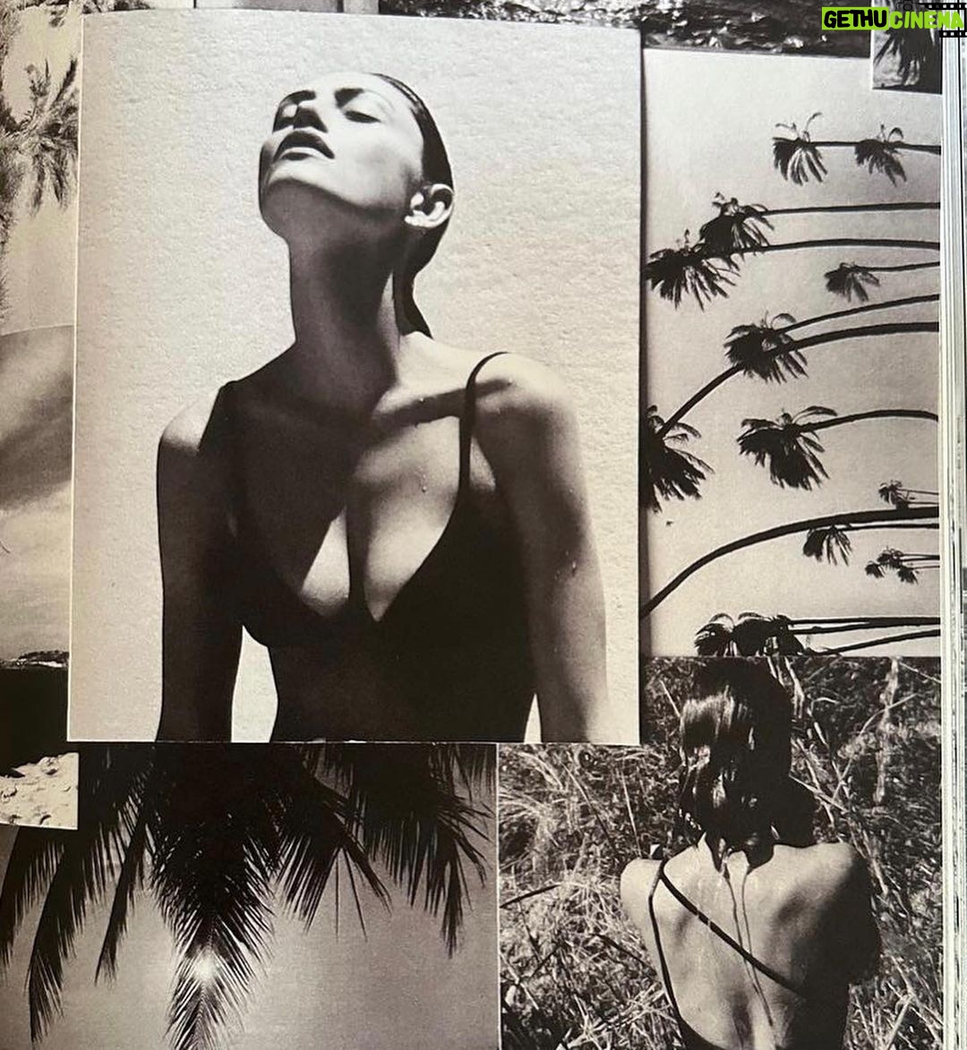 Phoebe Tonkin Instagram - @matteau i feel summer