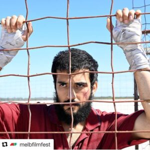 Phoenix Raei Instagram - This year MIFF premiers BELOW the highly anticipated directorial debut from Maziar Lahooti starring:
@rycorr 
Anthony Lapaglia 
Phoenix Raei
Alison Whyte 
@morganaoreilly 
@zenia_starr 
#filmfestival #australianfilm