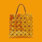 Pierre Lapointe Instagram - #isseymiyake