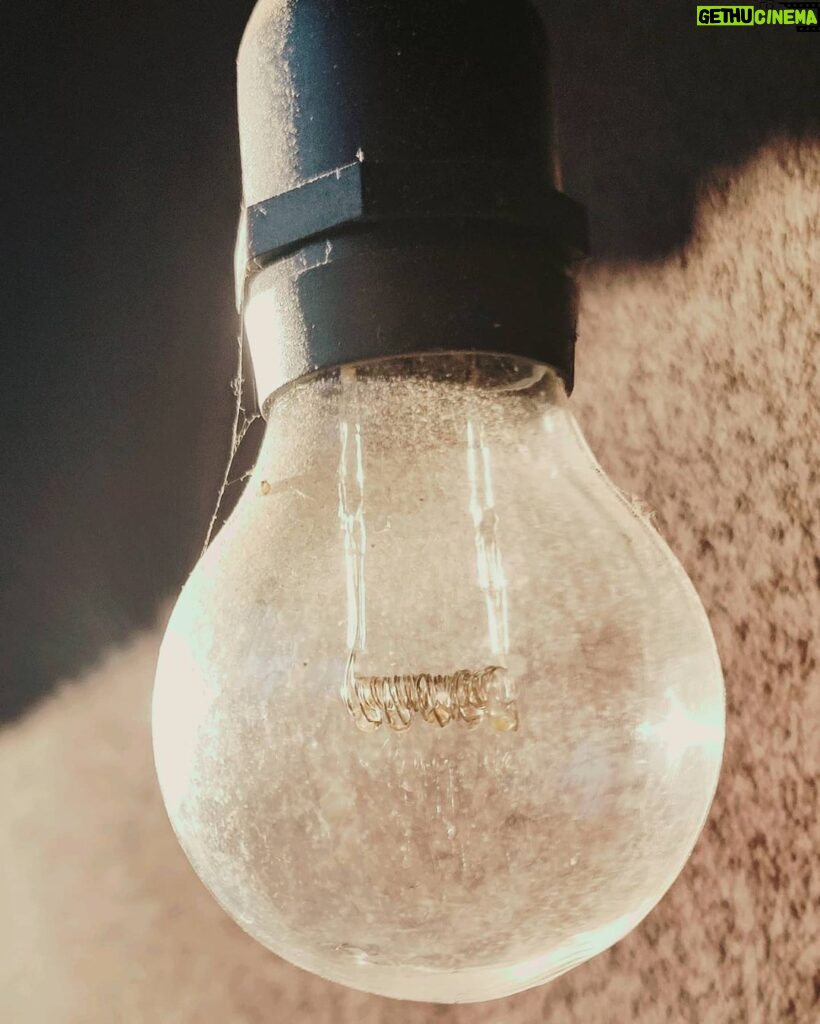 Pihla Viitala Instagram - An old lightbulb without light in the light.