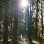 Pihla Viitala Instagram - Yesterday walk in the forest...😷