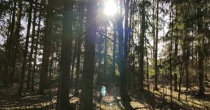 Pihla Viitala Instagram - Yesterday walk in the forest...😷