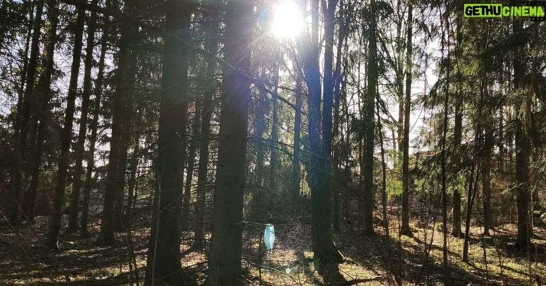 Pihla Viitala - 1.4K Likes - Yesterday walk in the forest...😷