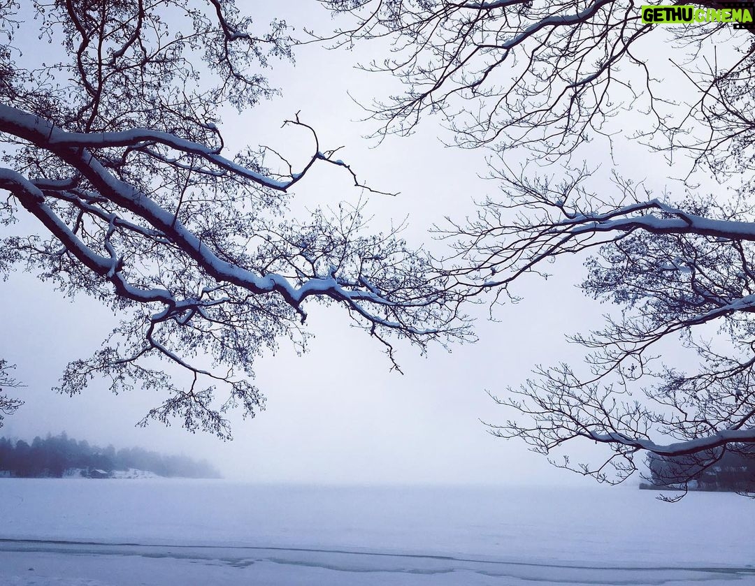 Pihla Viitala - 1.9K Likes - Morning walk❄️ #seurasaari #frozensea🌬