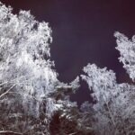 Pihla Viitala Instagram - Helsinki ❄️❄️❄️