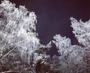 Pihla Viitala Instagram - Helsinki ❄️❄️❄️