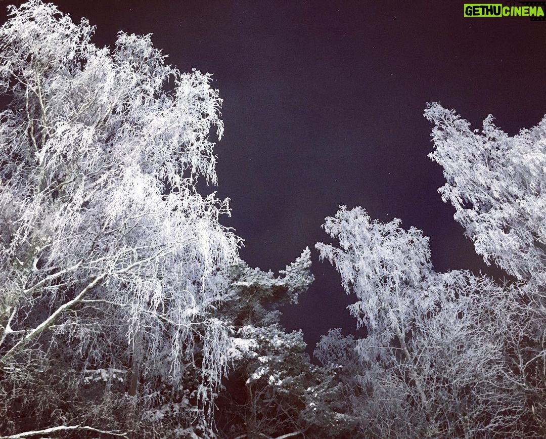 Pihla Viitala - 1.7K Likes - Helsinki ❄️❄️❄️