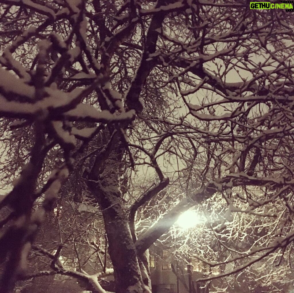 Pihla Viitala Instagram - Lumi on täällä💙