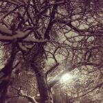 Pihla Viitala Instagram – Lumi on täällä💙