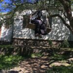 Pihla Viitala Instagram - My neighbour @darthvader