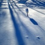 Pihla Viitala Instagram - Written New garbage