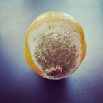 Pihla Viitala Instagram - 🍋