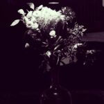 Pihla Viitala Instagram - 💐