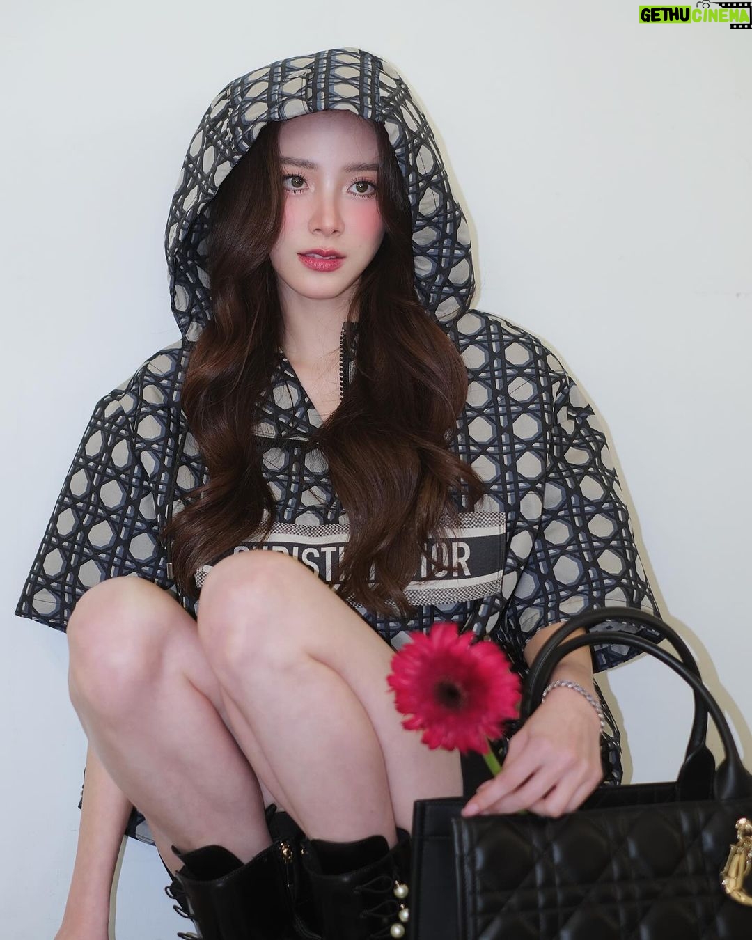 Pimchanok Luevisadpaibul Instagram - 💙💙 #DiorBookTote #DiorCruise