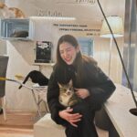 Pimchanok Luevisadpaibul Instagram - แก แมวตก ☺️☺️🐱🐱 #ทริปมีลำโพงมั๊ย Fukuoka, Japan