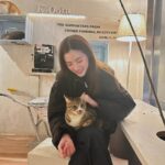 Pimchanok Luevisadpaibul Instagram - แก แมวตก ☺️☺️🐱🐱 #ทริปมีลำโพงมั๊ย Fukuoka, Japan