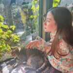 Pimchanok Luevisadpaibul Instagram - 猫 🐱🐱 #ทริปมีลำโพงมั๊ย