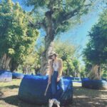 Pimchanok Luevisadpaibul Instagram - 🌳🌳🌳 อยากปลูกอีกกกก