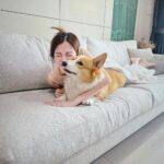 Pimchanok Luevisadpaibul Instagram - 🛋️🤍🐶📖📚 @studio128_sofa #studio128