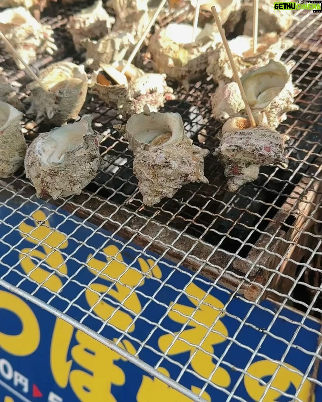 Pimchanok Luevisadpaibul Instagram - 🐙🦞🐟🪼😋 #ทริปมีลำโพงมั๊ย 呼子朝市~yobuko morning market~