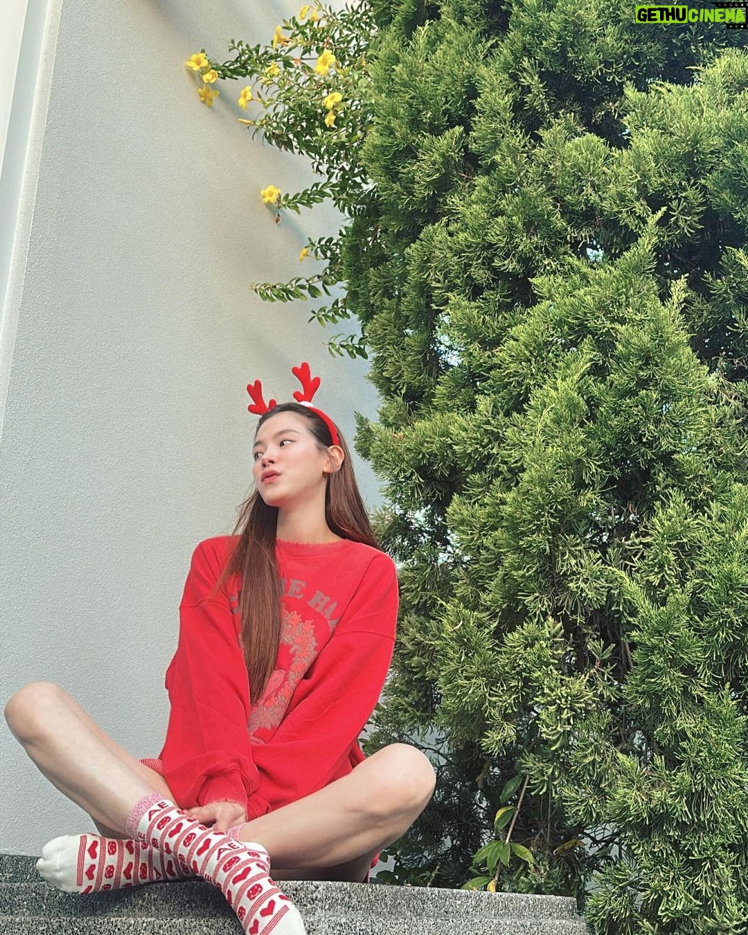 Pimchanok Luevisadpaibul Instagram - 🫎🫎🎄🎄