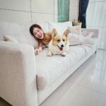 Pimchanok Luevisadpaibul Instagram - 🛋️🤍🐶📖📚 @studio128_sofa #studio128