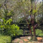 Pimdao Panichsamai Instagram - ⛰️ คีรีวง หมู่บ้านที่อากาศดีที่สุดในไทย นครศรีธรรมราช