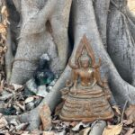 Pimdao Panichsamai Instagram - 02.02.24 Merit day in Ayutthaya อยุธยา Ayutthaya