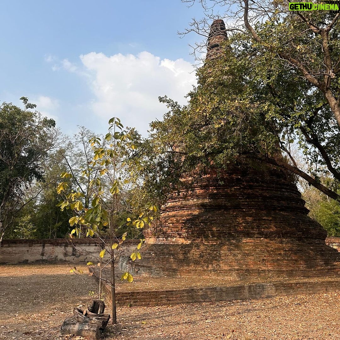 Pimdao Panichsamai Instagram - 02.02.24 Merit day in Ayutthaya อยุธยา Ayutthaya