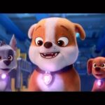 Pinar Toprak Instagram – Mighty powers ACTIVATED! 💎🔥 Watch the pups get their powers in this new clip from PAW Patrol: The Mighty Movie – only in theatres September 29. A little score sneak peek also 😉 #PAWPatrolMovie