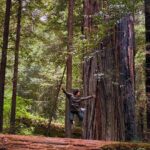 Pisay Pao Instagram - Happy Earth Day. “I LUV U GURL!” ❤️🌍 Going around in circles on #isleofskye Sweet potato harvesting in #tennessee Taking in a breath at #mtzionnationalpark Reaching for the trees at #redwoods Maxin n’ relaxin in #shermanoakscalifornia Thanks for the experiences + photos of a lifetime @alybbeauty + @mrpaulmarchand #earthday #getoutsidewithsomeoneulove