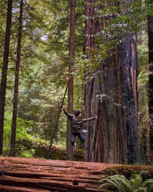 Pisay Pao Instagram - Happy Earth Day. 
“I LUV U GURL!” ❤️🌍

Going around in circles on #isleofskye 
Sweet potato harvesting in #tennessee 
Taking in a breath at #mtzionnationalpark 
Reaching for the trees at #redwoods 
Maxin n’ relaxin in #shermanoakscalifornia 

Thanks for the experiences + photos of a lifetime @alybbeauty + @mrpaulmarchand 
#earthday #getoutsidewithsomeoneulove