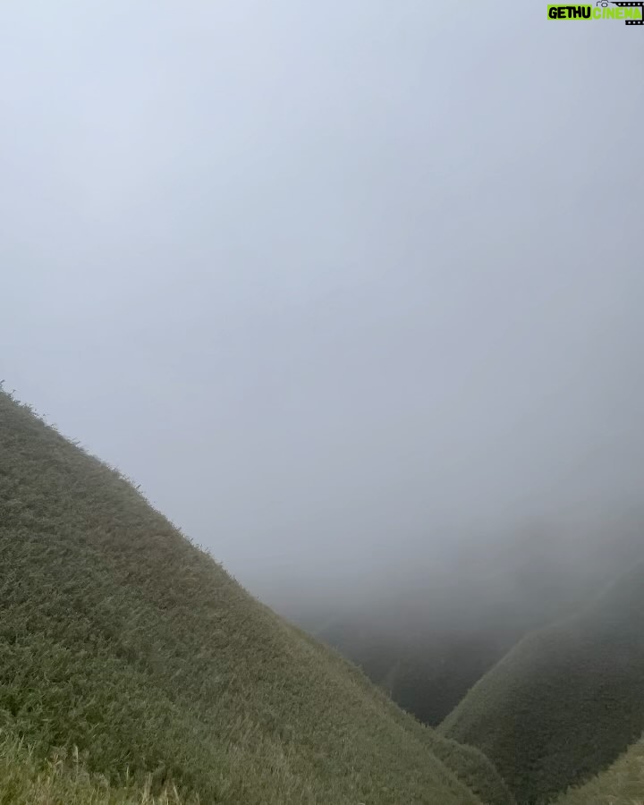 PoLin Tung Instagram - 原本要帶大家看看抹茶山攻頂時候的美景，但是沒想到霧實在太厚了，雖然跟想像的不太一樣，但這片厚厚的霧也好美。 在爬山時一直在想著最近再次學到的一句話，隨遇而安。我很常覺得自己裹足不前，但真的不前了嗎！？生命怎麼走怎麼看，但也不要停下努力的步伐，同時還要要懂得放鬆，自在就可以來，人自在其他事情也都自在了。 #抹茶山 #隨遇而安 抹茶山聖母山莊