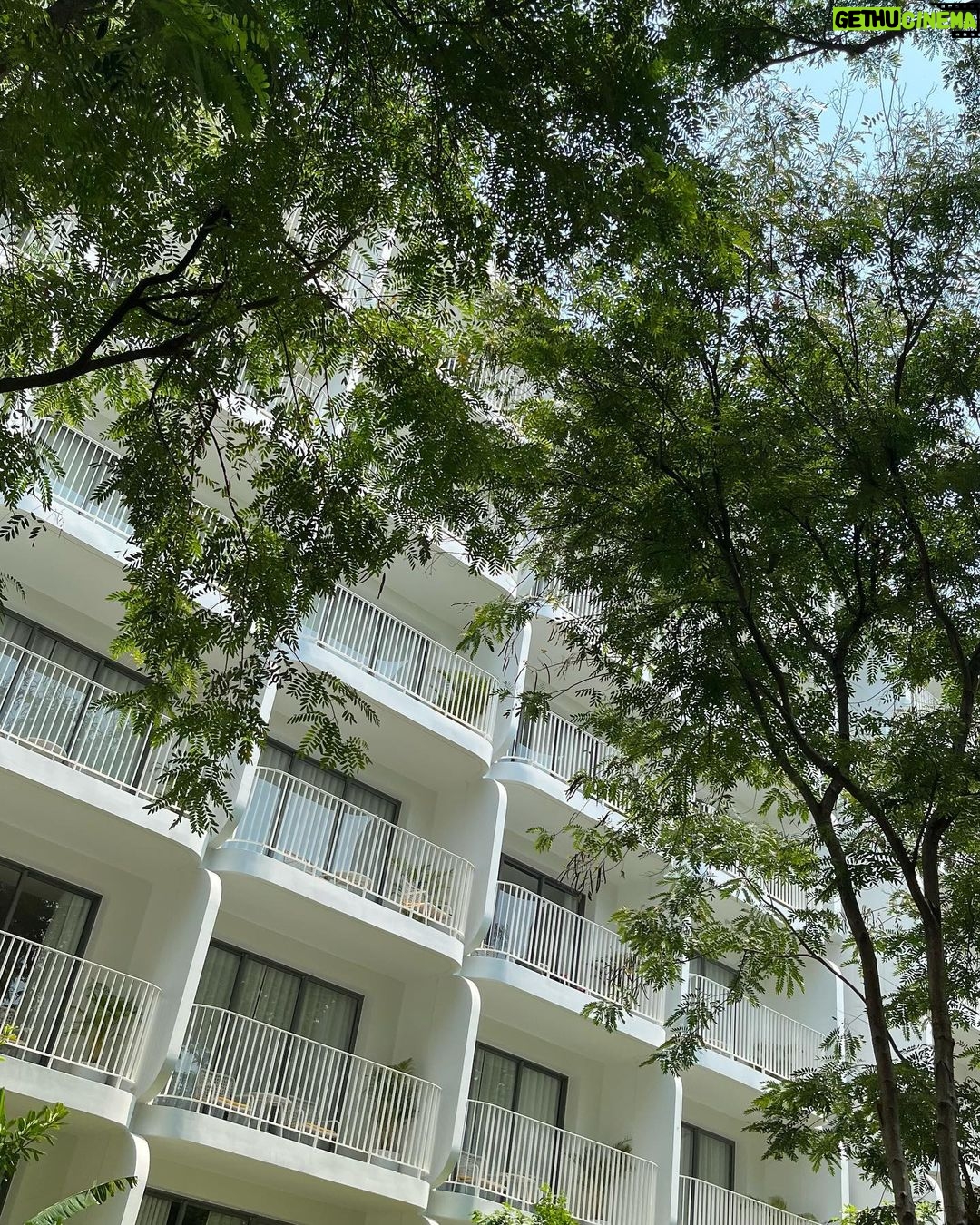 PoLin Tung - 3.7K Likes - 🍃🫂☀️🏝️ #huahin #thestandard