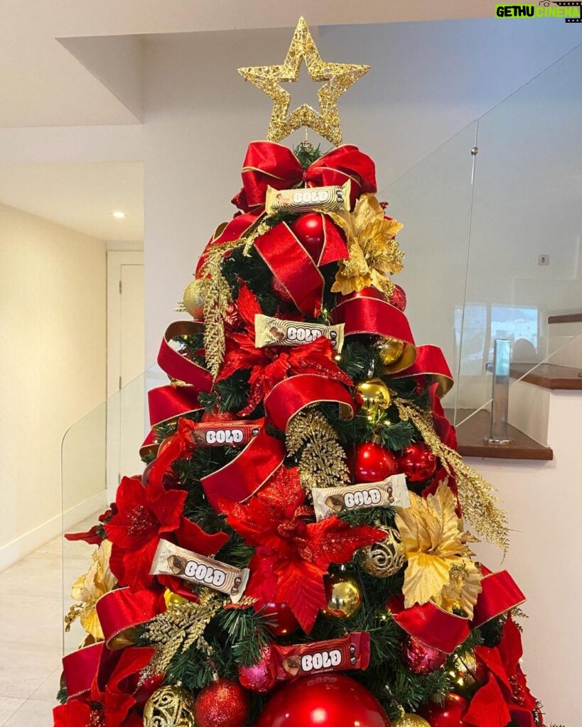 Pocah Instagram - Coloquei a estrela no topo da minha árvore de Natal mas quem brilhou mesmo foram as barrinhas Bold 😂🎄⭐️❤️ Depois de muito tempo preparando a ceia nada como um docinho saudável e prático pra fechar a noite de Natal (eu só espero que a gente aqui em casa já não tenha comido todas até lá 🤭🗣️)