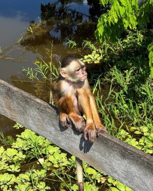 Pocah Instagram - Pocahontas na Amazônia em breve nos cinemas.

Obrigada @setufor.euvou uma das melhores experiências da vida 🫶🏾

PH @eugustavolima