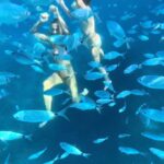 Polina Gagarina Instagram -