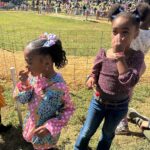 Porsha Williams Guobadia Instagram - I’m obsessed with my whittle pumpkin 🎃 😘 @pilarjhena Thank you @lenahuggs for adding this to our new list of traditions ❤️ #4YearsOld #MommiesAndBabies