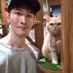Potter King Instagram - 🐱🥰🐱 @alwayshere_cat_hotel