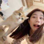 Potter King Instagram - 好多可愛的貓咪🤩 吸貓時間🥰好療癒 @hhhuangyiii 👈很想跟貓合照的人