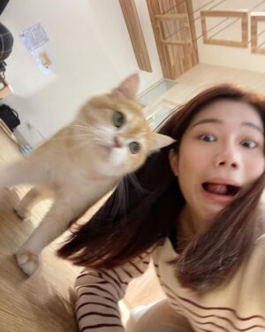 Potter King Instagram - 好多可愛的貓咪🤩
吸貓時間🥰好療癒

@hhhuangyiii 👈很想跟貓合照的人