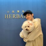 Potter King Instagram – 代言起來🤩

台灣品牌小先草本發酵液
@aheadgogo 

#幫助消化
#幫助排便順暢
#幫助新陳代謝

本月限時85折折扣碼：KING85