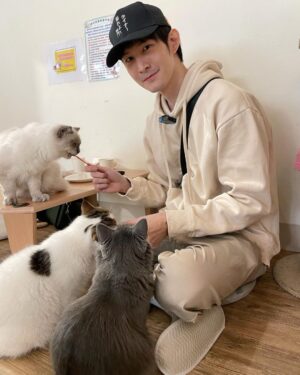 Potter King Instagram - 好多可愛的貓咪🤩
吸貓時間🥰好療癒

@hhhuangyiii 👈很想跟貓合照的人