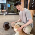 Potter King Instagram - 🐱🥰🐱 @alwayshere_cat_hotel