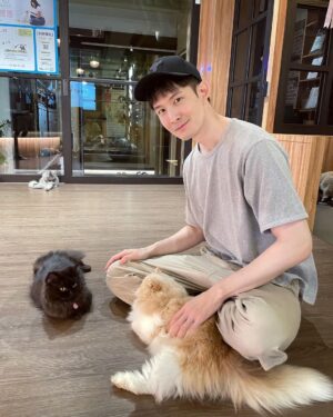 Potter King Instagram - 🐱🥰🐱

@alwayshere_cat_hotel
