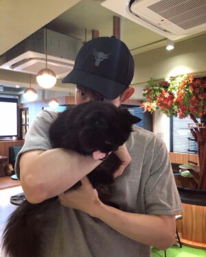Potter King Instagram - 🐱🥰🐱

@alwayshere_cat_hotel
