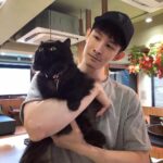Potter King Instagram - 🐱🥰🐱 @alwayshere_cat_hotel