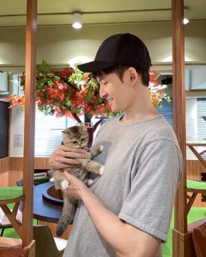 Potter King Instagram - 🐱🥰🐱

@alwayshere_cat_hotel