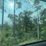 Prachee Shah Instagram - To Enter the field , Enter a Similar State … ☀️ ☀️ #energy #frequency #vibrations #mood #stateofmind #pracheeshahpaandya